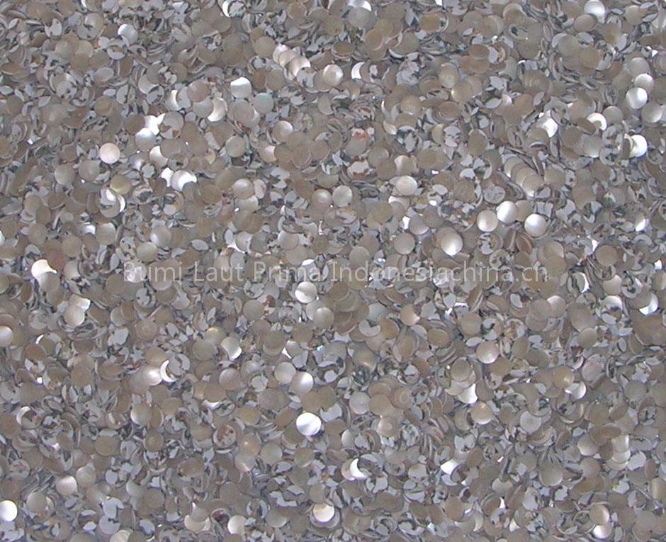 Trocas Shell Button Blank