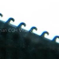 velcro plastic hook 2