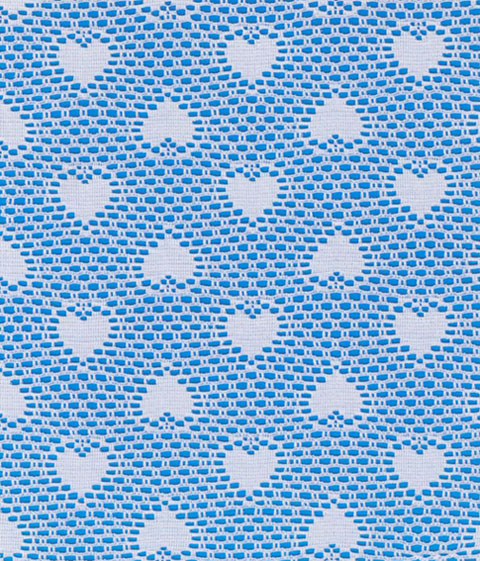 Lace for garment, garment accessories