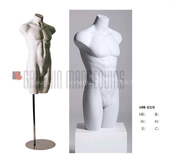 male torso / body forms