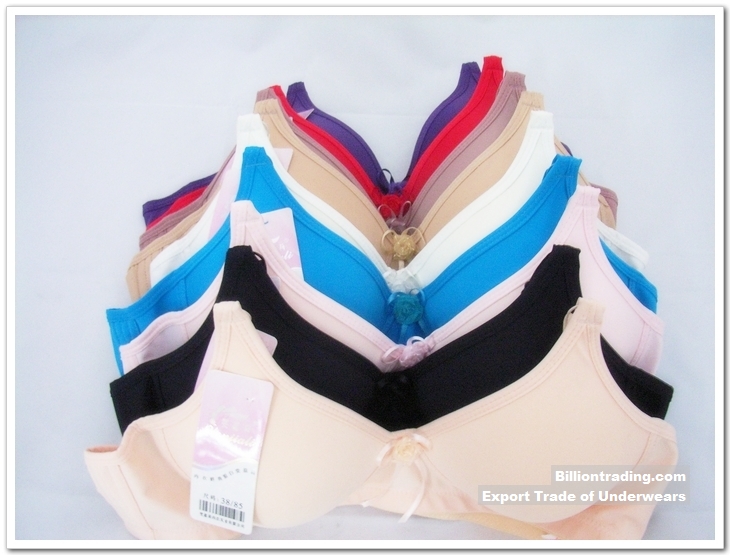China Supplier of Underwear,Bras