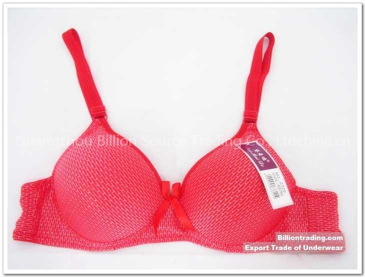 Non Wired Bra with Silver Check(2329)