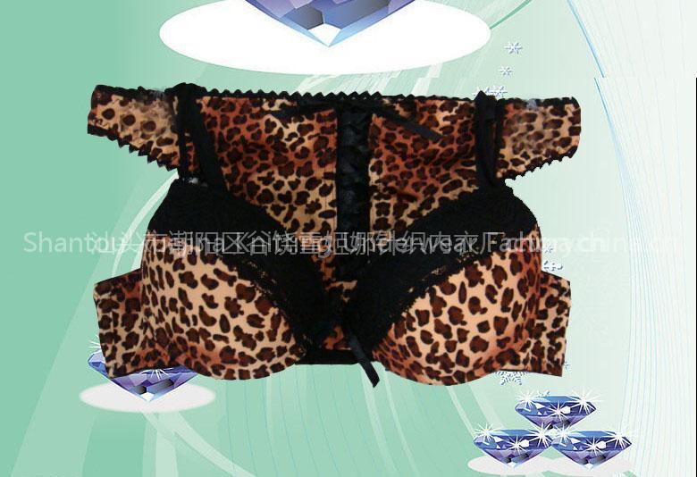 Lady's Underwear Set