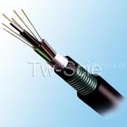 optical fiber cable-GYTA53