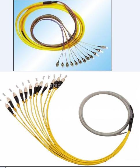MPO Connector