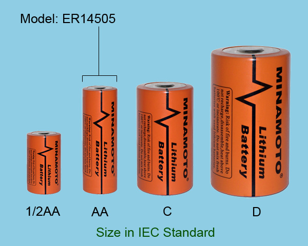 Hong Kong Primary Lithium Thionyl Chloride Battery