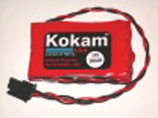 South Korea Lithium Polymer Battery
