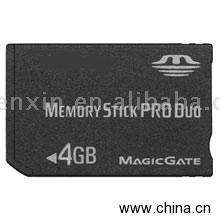 Memory Stick