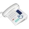 MP3 IP Phone (China (Mainland))