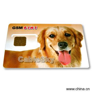 SIM Card
