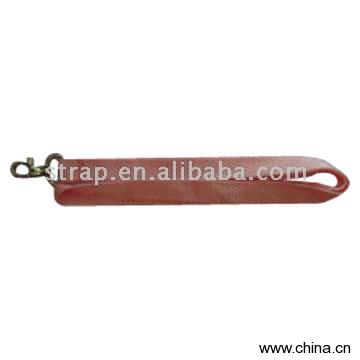 Lanyard