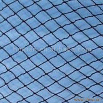 Sports Net