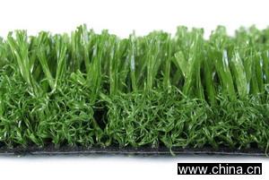 Synthetic Soccer Grass