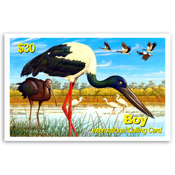 Lenticular Calling Card