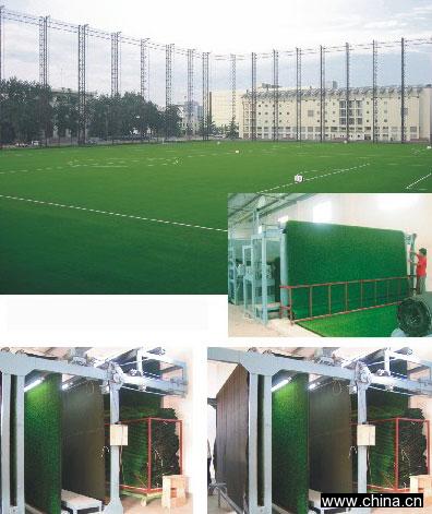 Grass Mat, Artifical Turf, Lawn/Synthetic Grass