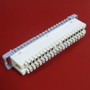 China (Mainland) 10 Pair Disconnection Module