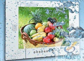 19 inch Waterproof LCD tv / bathroom TV