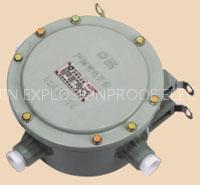 Explosion proof Ballast