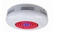 Professional Manufacturer of LED Street Light LED tunnel light / LED Wall lamp/ LED Commercial lighting / LED Quartz light / LED Guide