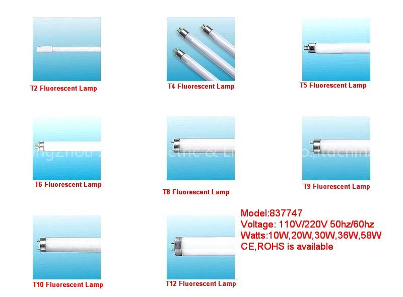 Common Fluorescent Lamp