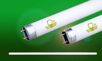 China (Mainland) T8 36w Fluorescent Tube