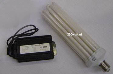 China (Mainland) Energy Saving Lamp And Electronic Ballast