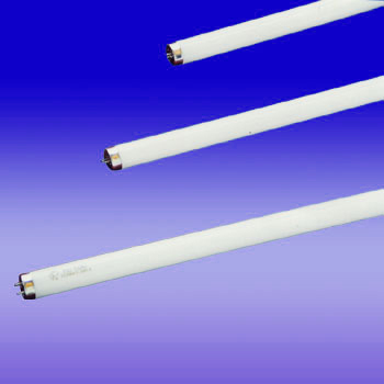 China (Mainland) T8 Fluorescent Lamp