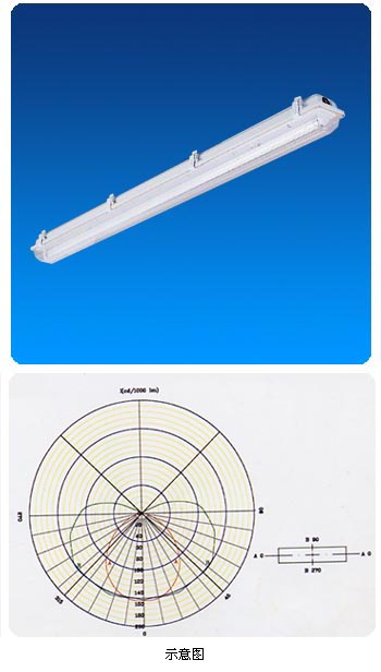 China (Mainland) Water-proof Fluorescent Lighting Fixture