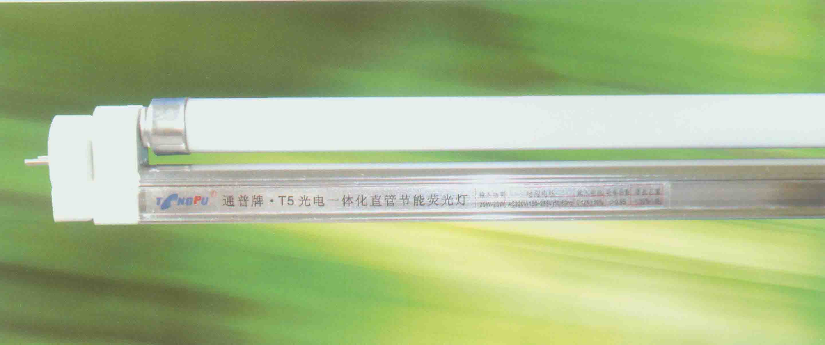 China (Mainland) T5 T8 Energy Saving Improved Fluorescent Lamp