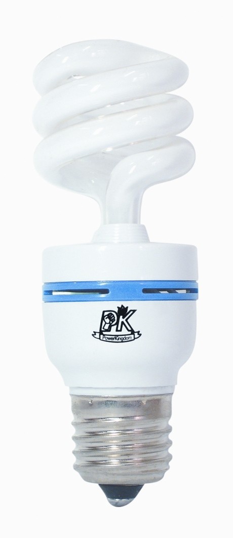 Hong Kong Energy Saving Light Bulb - Spiral Type
