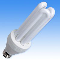 China (Mainland) Energy Saving Lamp