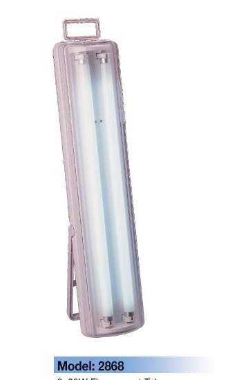 China (Mainland) Fluorescent Tube 2868