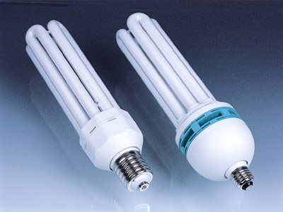 China (Mainland) Energy Saving Lamp