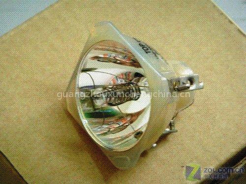 Many kinds of projector lamps