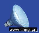 Halogen Lamp PAR38