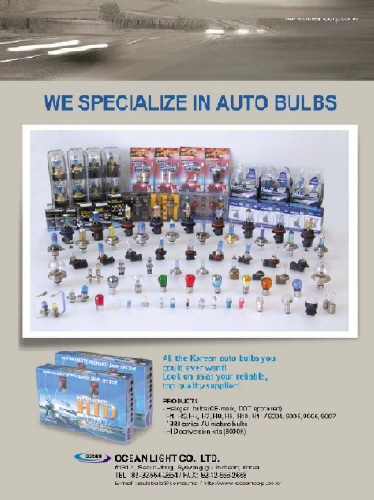 South Korea Halogen Lamp