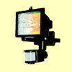 Hong Kong PIR Halogen Lamp