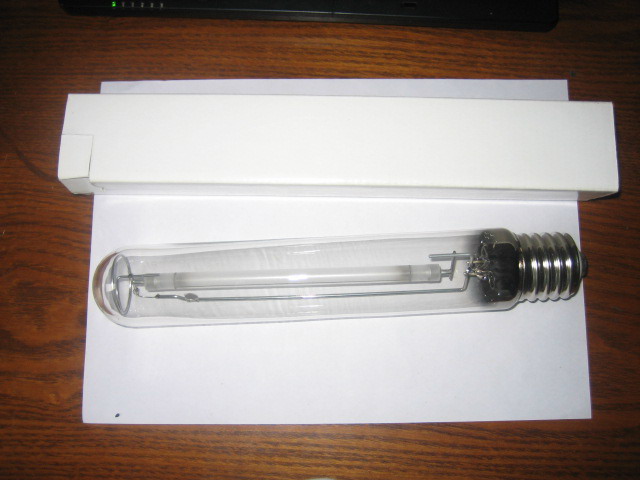 Hong Kong Halogen Bulbs