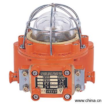 Explosion Proof Light