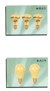 China (Mainland) Insect Repellent Bulb