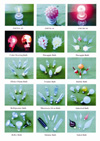 China (Mainland) Bulbs Item