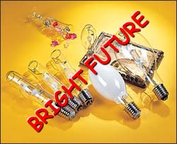 China (Mainland) Metal Halide Lamps