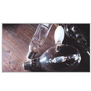 South Korea Metal Halide Lamp