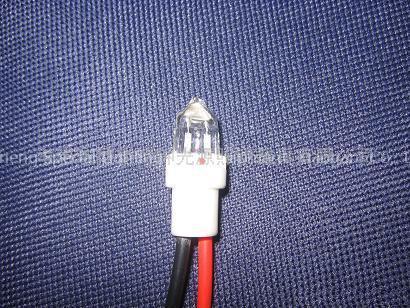 HID 21W bulb