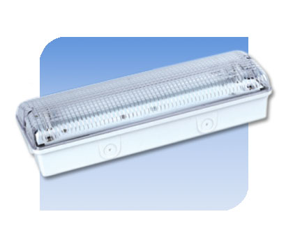 China (Mainland) Emergency Lamp