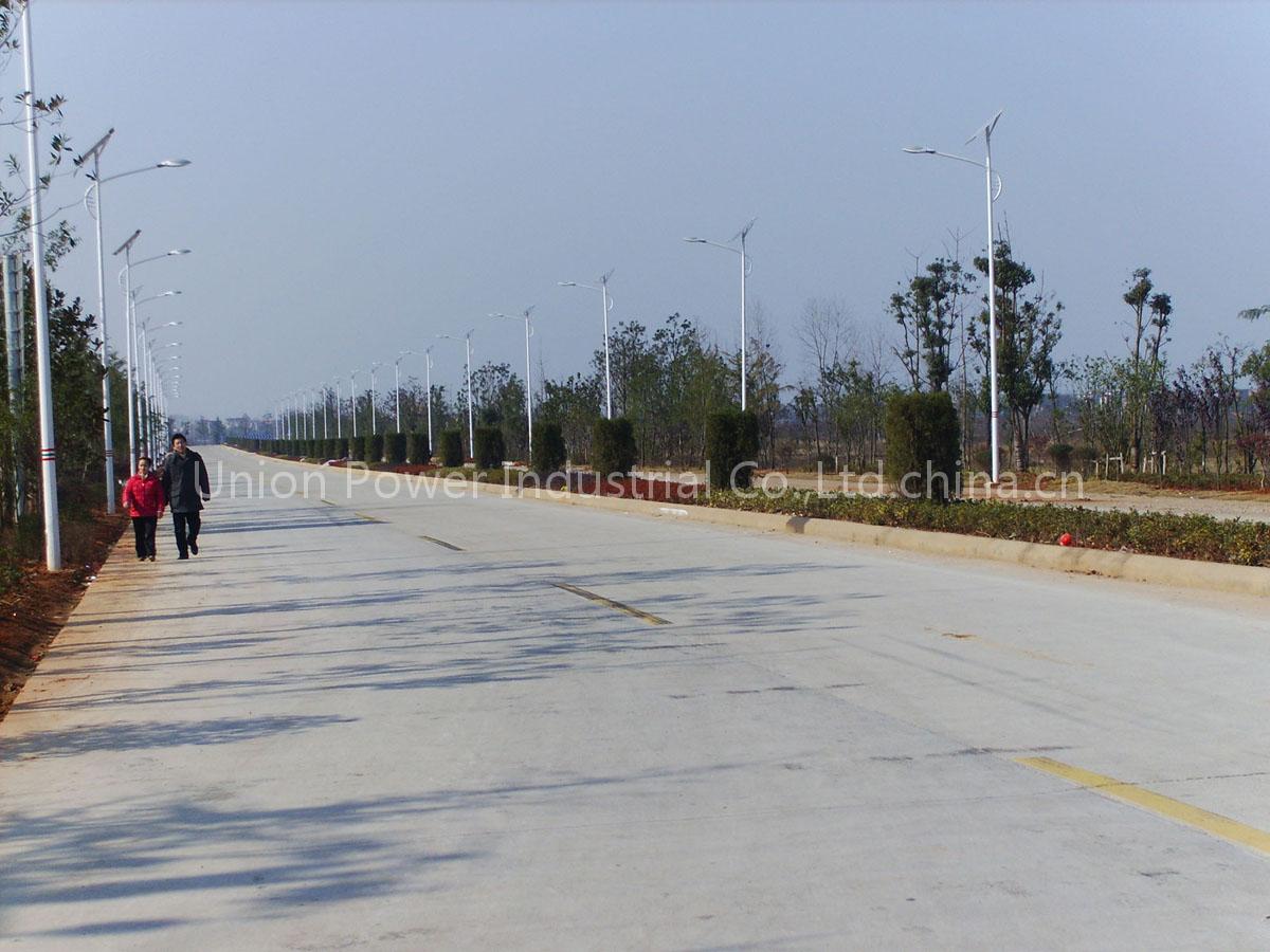 solar street light