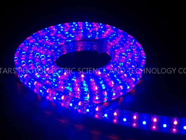 LED rope light flat