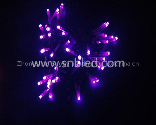 Led Chrismas Lighting