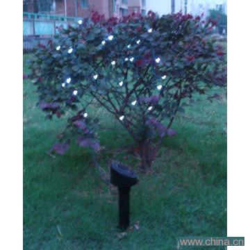 Solar String Light
