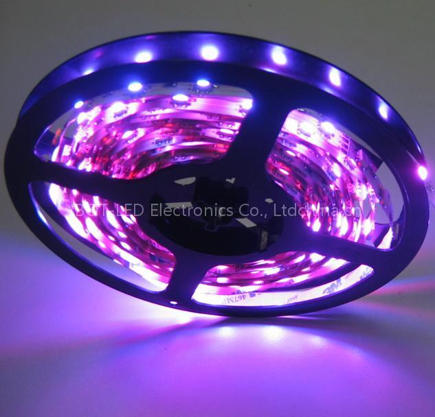 Wholesale - Waterproof SMD 5050 LED Flexible Strip light,3528 SMD LED Rope Light ,SMD 5060 LED STRIP LIGHT, LED Ribbon
